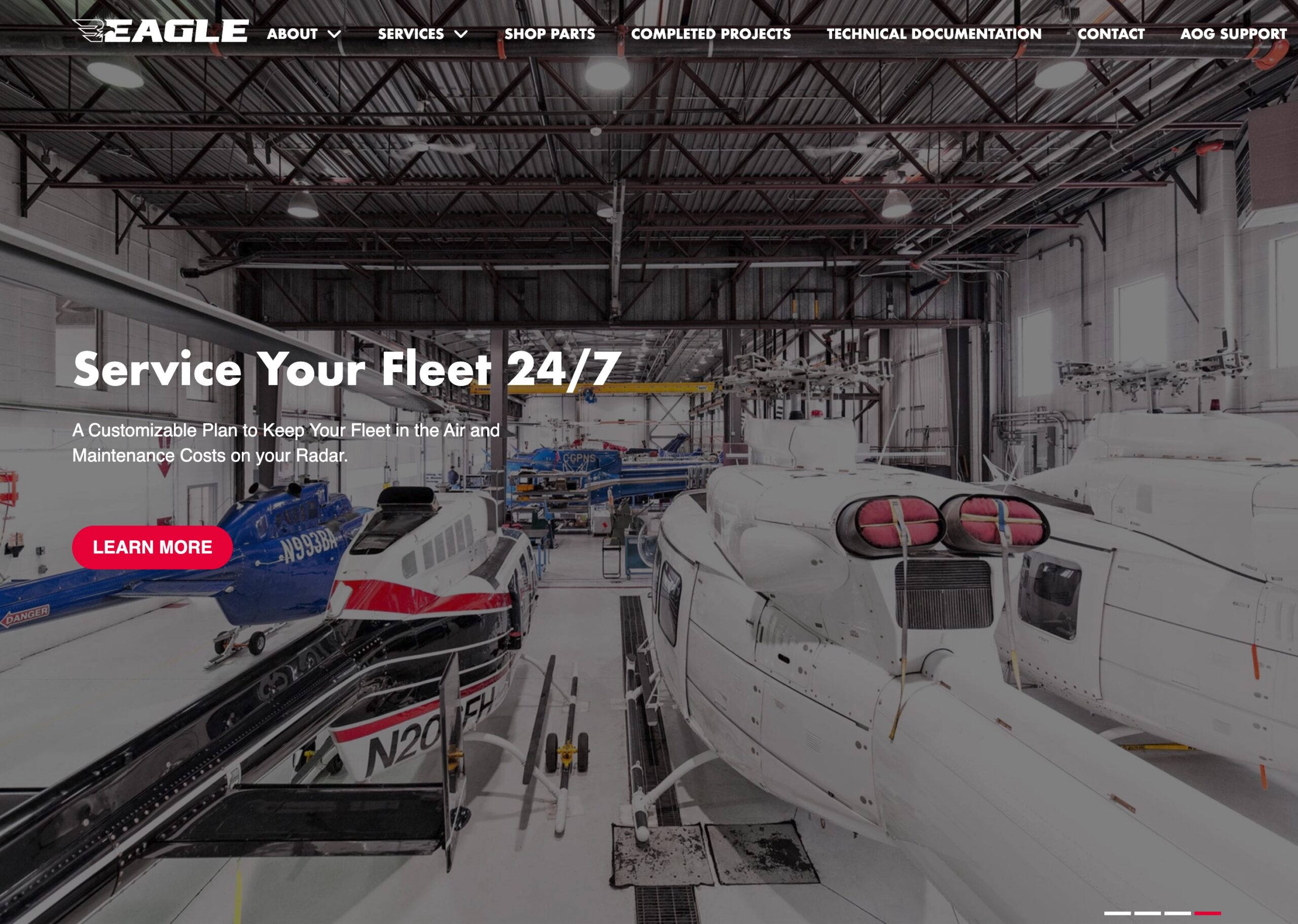 Featured image for “Eagle Copters”